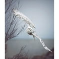 thumbnail image 3 of Grippo-Pike, Carrie Ann 15x17 Black Modern Framed Museum Art Print Titled - Snowy Owl In Flight, 3 of 5
