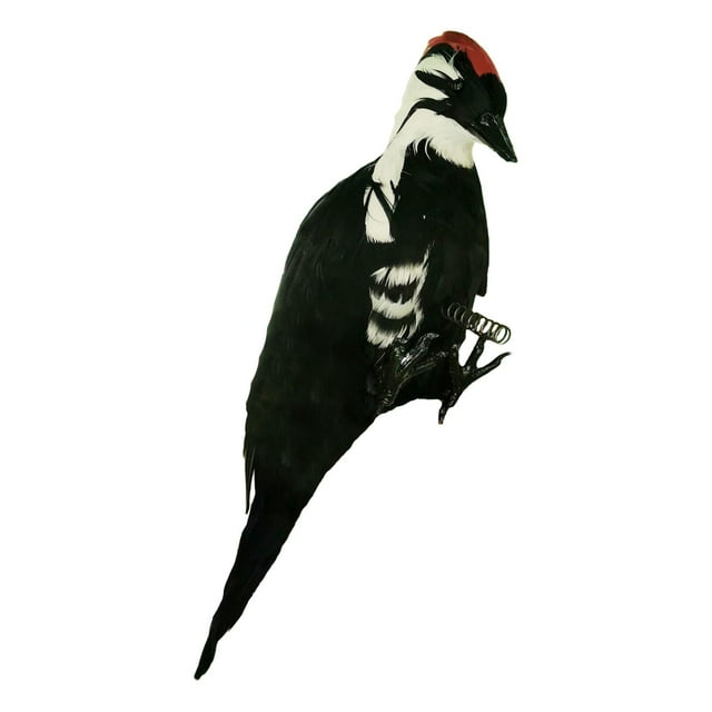 jinwen Simulation , Handcrafted Spring Scarecrow Artificial Gift Feather Art Sculpture