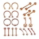 thumbnail image 1 of Kit de joyería para piercing de 20 piezas, aros para nariz, juego de aros para nariz, labio, 1.2x6 + 3mm, 1 of 5