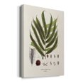 thumbnail image 2 of Botanical Society Ferns II Premium Gallery Wrapped Canvas - Ready to Hang, 2 of 9