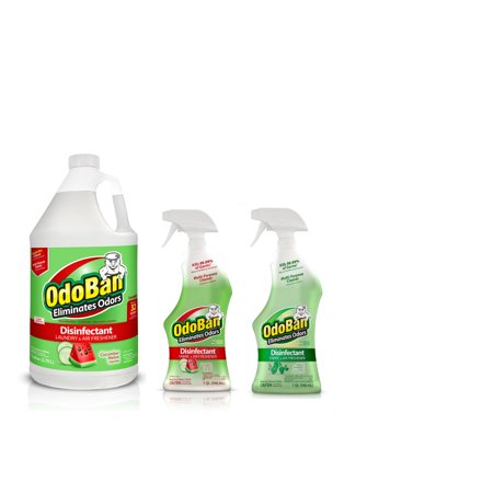 Original Disinfectant - OdoBan Disinfectant Odor Eliminator Ready-to-Use 32oz Spray Bottle and 1 Gal Concentrate, Cucumber Melon Scent, Plus 32oz Spray Bottle Original Eucalyptus Scent