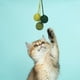 thumbnail image 5 of Pelotas de juguete divertidas para gatos, atrapasueños duraderos e interactivos para que juegue el gatito. Verde, 5 of 8