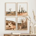 thumbnail image 4 of PixonSign Framed Wall Art Desert Cactus Texas Arizona Landscape Prints, Set of 4 Tropical Photography Wall Decor Arts, Nature Wall Décor, Adhesive Canvas Poster, Modern Home Artwork - 11"x14" Natural, 4 of 5