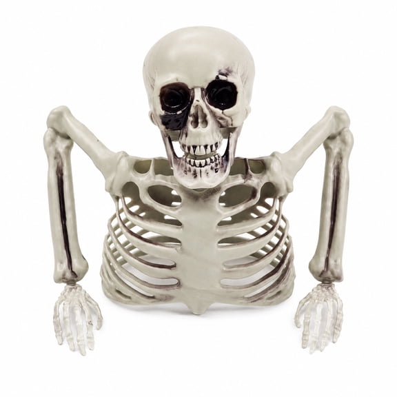 Halloween Half Skeleton Plastic Skull Skeleton Decoration for Halloween Tabletop Party Mantel Shelf Haunted Decor