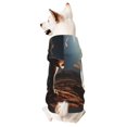 thumbnail image 1 of Fotbe Pyramid Desert Cat Sudadera con Estampado para Perros Pequeños – Suéter con Capucha para Mascotas, Tela Suave de Forro Polar con Bolsillo-Large, 1 of 7