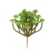 thumbnail image 4 of RENACLIPY Planta Artificial Verde Para Hogar Sin Mantenimiento, 4 of 8