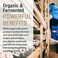 thumbnail image 4 of Solaray Organically Grown Fermented Mushroom Complete 600 mg (60 VegCaps), 4 of 6