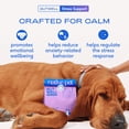 thumbnail image 2 of Native Pet GutWell Stress Support Anxiety Relief & Calming Supplement for Dogs with Probiotics, 12.7-oz, 2 of 8