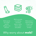 thumbnail image 4 of Airthings Wave Mini - Indoor Air Quality Monitor with Mold-Risk Indication, 4 of 9