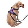 thumbnail image 2 of Fotbe Chemistry Tools Arnés para Perro con Estampado –Chaleco Ajustable Acolchado con Asa de Control para Perros Grandes-X-Large, 2 of 6