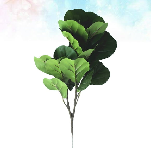 Greenadscape Rama De Ficus Hance Verde Para Adorno De Casa Sin Olor Ideal Para Interior