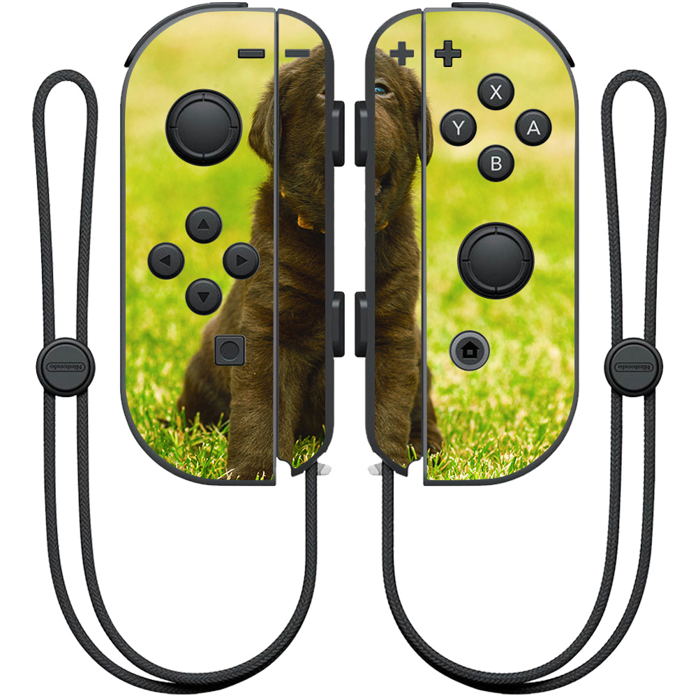 MightySkins Skin For Nintendo JoyCon Controller, Switch, Switch Pro