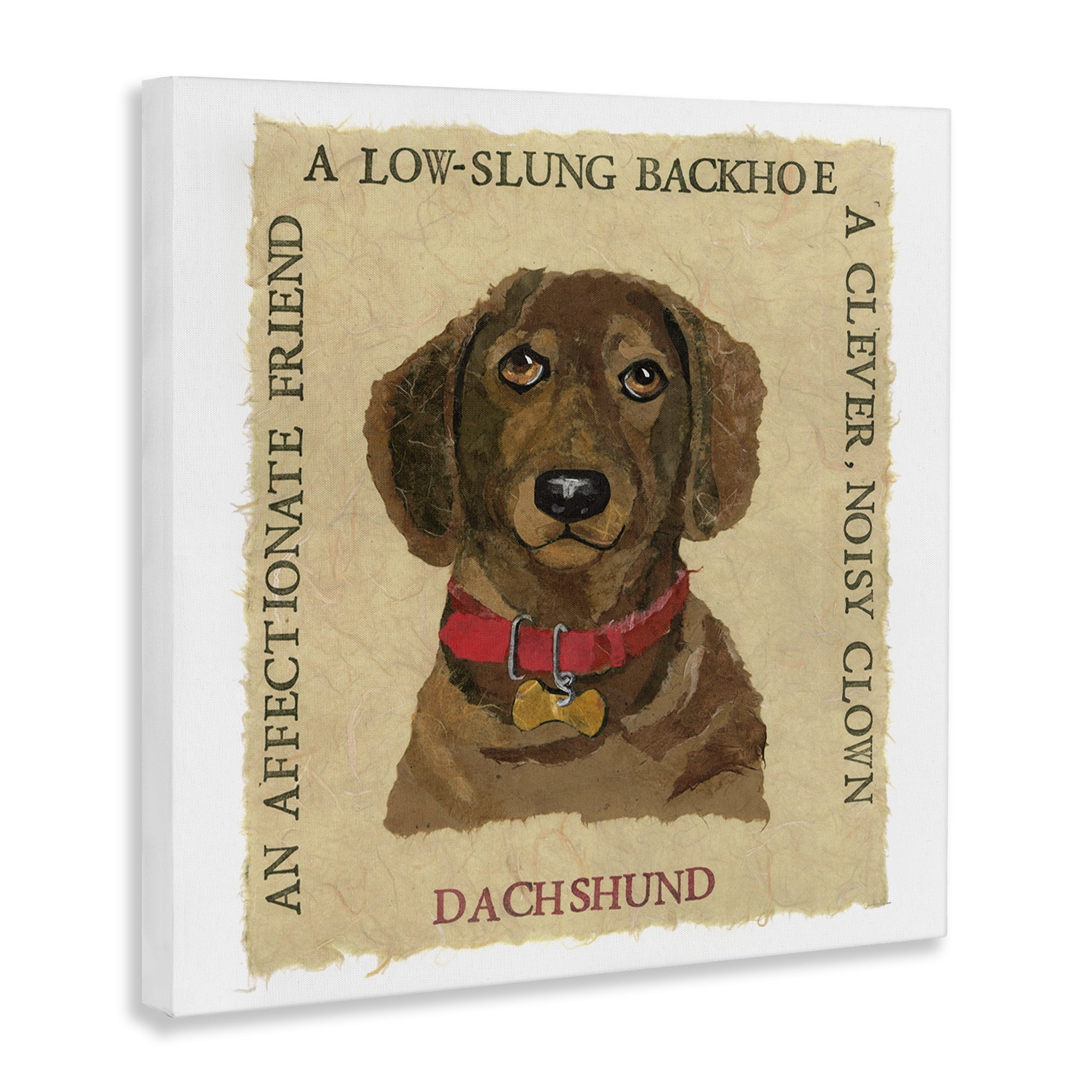 Stupell Industries Fun Dachshund Pet Phrases Animals Painting Wrapped Canvas Art Print Wall Art, 36 x 36