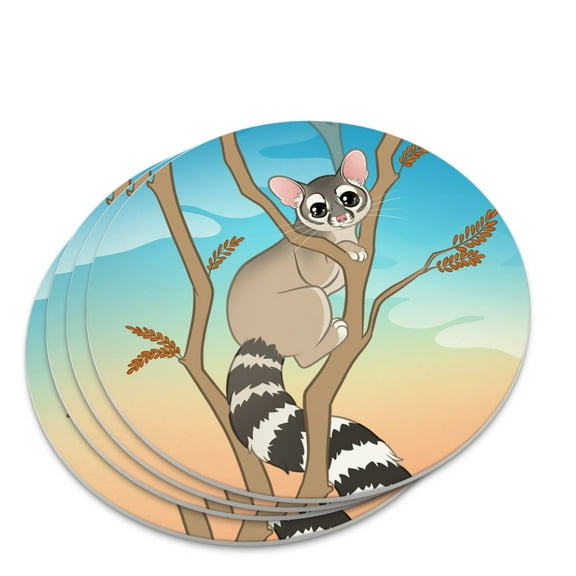 Ring-tailed Cat Novelty Coaster Set