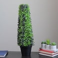 thumbnail image 3 of Northlight 25" Green and Black Potted Two-Tone Boxwood Cone Artificial Topiary Tree, 3 of 3