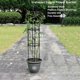 thumbnail image 3 of 150 cm Trellis Obelisk Metal Trellis with PlasticCoated WeatherResistant Freestanding Climbing Plants Ref: 6981, 3 of 5