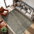 thumbnail image 4 of RUGKING Area Rug 4X6 Indoor Retro Floor Decor Carpet Washable Orental Rug for Living Room Bedroom Hallway Coffee, 4 of 8