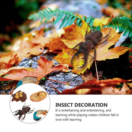 

4Pcs Simulation Insect Growth Ornaments Insect Display Models for Kids