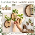 thumbnail image 2 of Wall Mounted Glass Planter, Natural Wood Slice Single Test Tube Hydroponic Vase, Hanging Plant Propagation Station for Indoor Home Decor and Office Wall Art Decoration, 2 of 6
