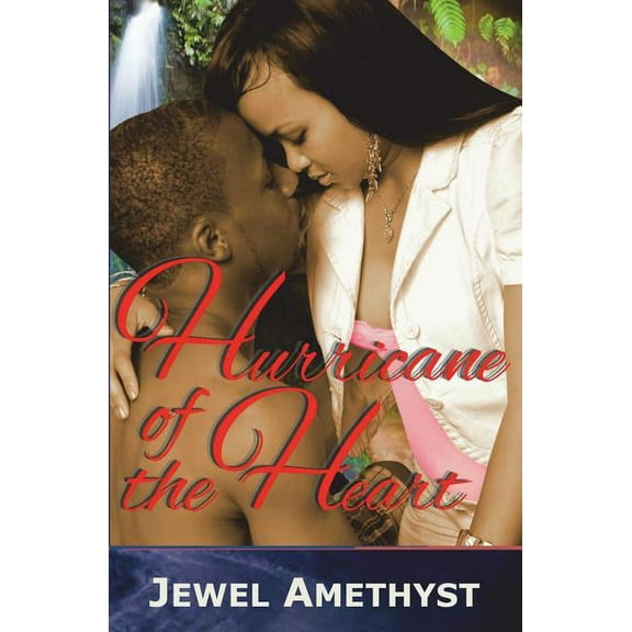 Hurricane of the Heart (Paperback)