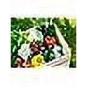 Evergreen Farm & Garden Yara Liva Calcium Nitrate Greenhouse Grade Fertilizer, 50 lb