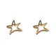 thumbnail image 3 of Minnieouse Horquillas para el cabello Barrettes Estrella de cinco puntas Clip de metal Pinzas para el cabello Niñas Sombreros Coreano Simple para Oro 2Conjunto, 3 of 5