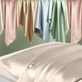 thumbnail image 2 of Fundas de almohada de seda DKBSlik Mulberry Silk Standard, paquete de 2, color beige, 2 of 7