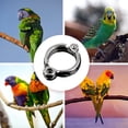 thumbnail image 3 of Amdohai Pet Bird Pigeons Parrot Leg Rings Bird Rings Outdoor Flying Training Activity Opening Foot, 3 of 6