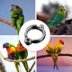 thumbnail image 5 of Anillo Pie de Loro TFixol, 5 of 6