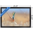 thumbnail image 3 of The Comedy Wildlife Photography Awards: Anup Deodhar - Rockstar Wall Poster, 14.725" x 22.375" Framed, 3 of 5
