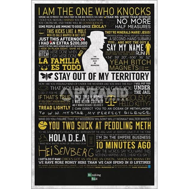Pyramid Posters XPE160040 Breaking Bad - Citations Classiques Affiche Imprimée, 24 x 36