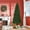 Green, variant on HOMCOM 7' Artificial Pencil Christmas Tree, Slim Xmas Tree with 499 Realistic Branch Tips and Plastic Stand, Black