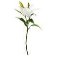 thumbnail image 2 of Xihbxyly Tallo de Flor Artificial, Diseño Elegante de 3 Cabezas, Material Plástico Duradero, Perfecto para Decoración de Jardín, Oficina y Boda, 34 Cm de Largo, 7 Cm de Diámetro de Flor., 2 of 2