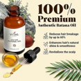 thumbnail image 2 of 1-3x Vital Strands Organic Batana Oil For Hair Growth For All Hair Types 60ml, 2 of 5