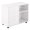 White, variant on HOMCOM Printer Stand Mobile Printer Table W/ Storage Wheels White