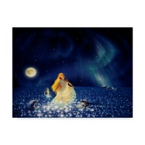 Trademark Fine Art 'Sea Of Stars' Canvas Art by Kirk Reinert