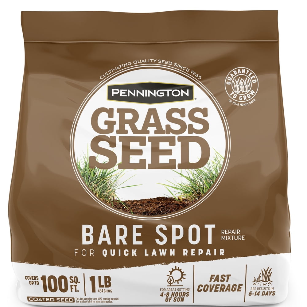Pennington Bare Spot Grass Seed Mix, for Southern Lawns, 1 lb. Bag