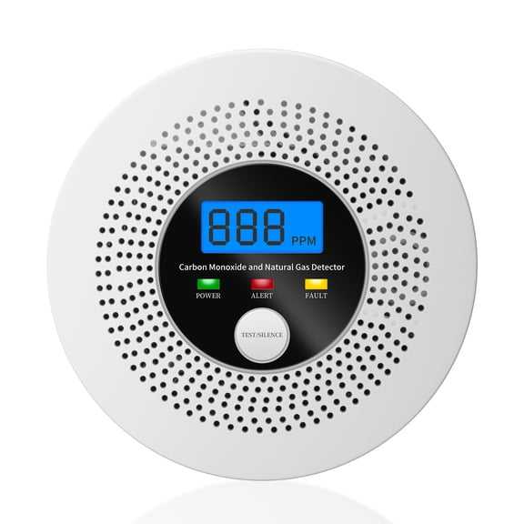 2in1 Natural Gas and CO Detector