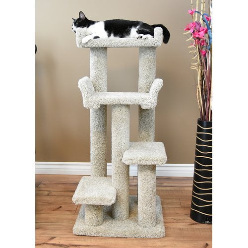 free Cat Condo for iphone instal free Cat Condo for iphone instal