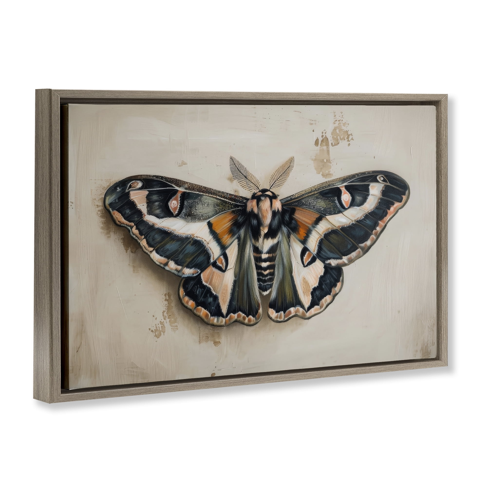 Stupell Industries Dark Winged Moth Animals Painting Brown Floater Framed Canvas Art Print Wall Art, 25 x 17