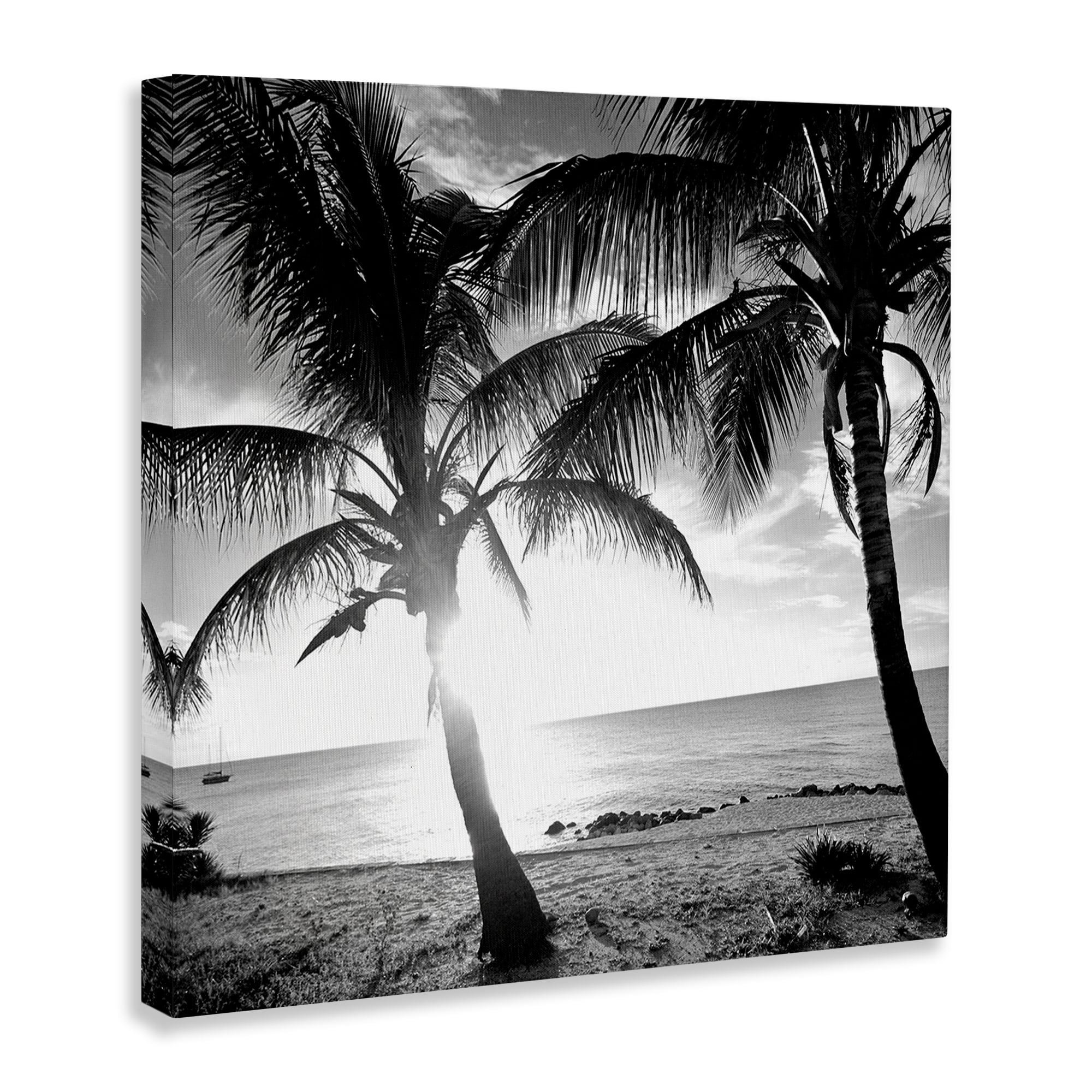 Stupell Industries Sunlit Palm Silhouettes Coastal Photography Gallery Wrapped Canvas Art Print Wall Art, 36 x 36