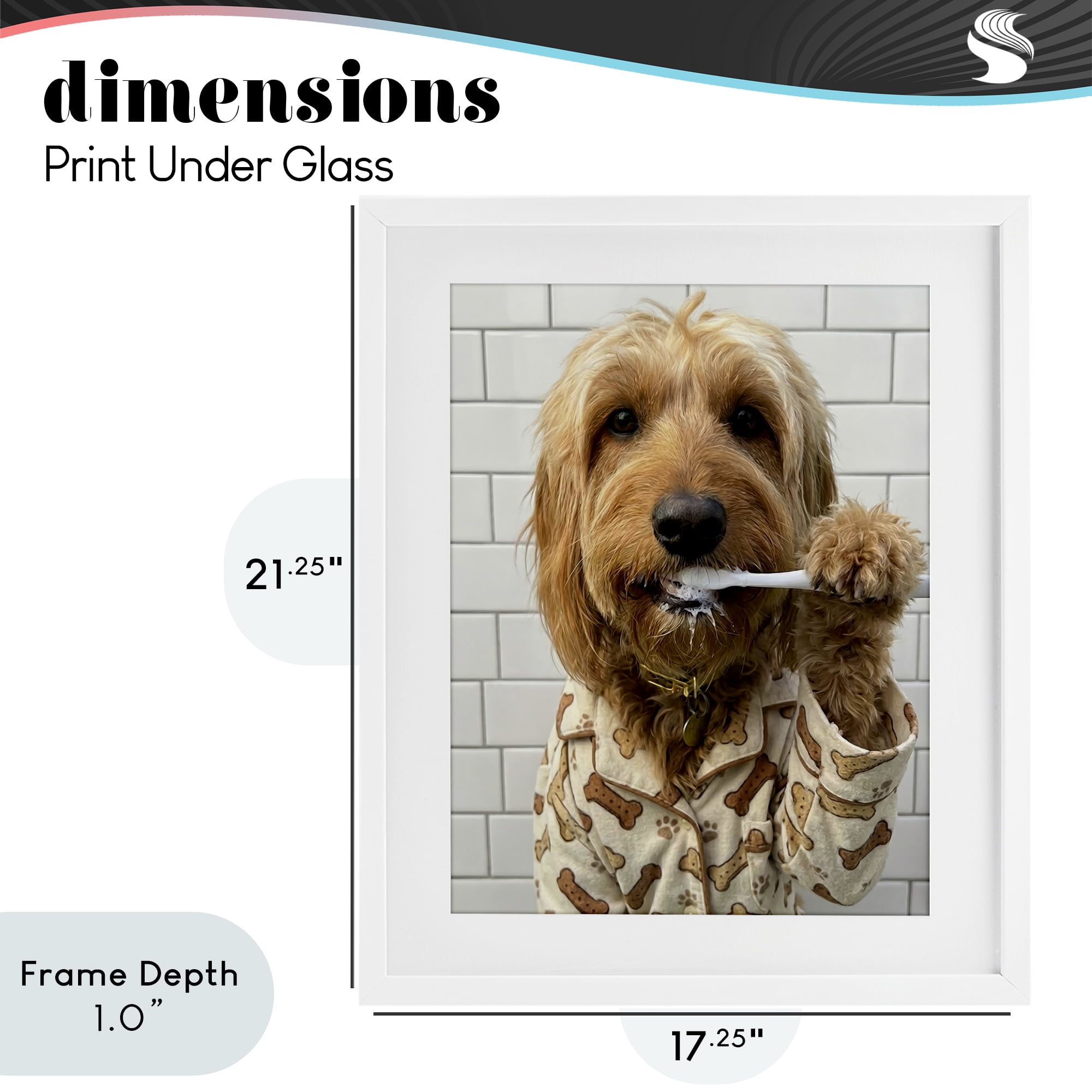 Stupell Industries Realistic Dog Brushing Teeth White Framed Print Under Glass, design by Abigail Walker