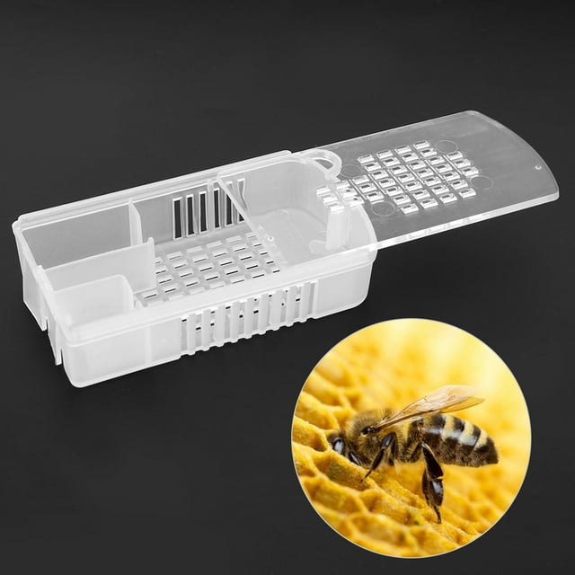 Équipement d'Apiculture, 5 Pcs Cage à Abeilles en Plastique Transparent Queen Ultra Réactif