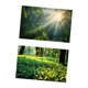 thumbnail image 2 of Fondo fotográfico de 57x87 cm con paisaje natural, doble cara. Estilo B, 2 of 9