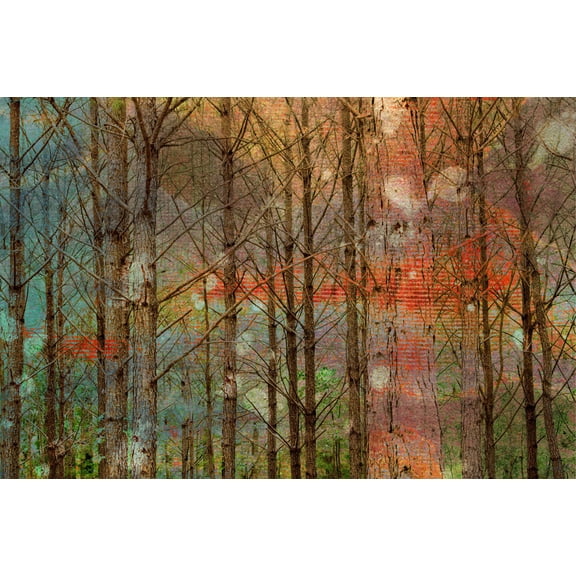 Through the Trees Painting Print on Wrapped Canvas
