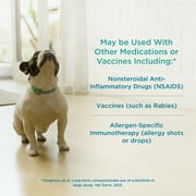 Apoquel (Oclacitinib) Tablets for Dogs, 5.4 mg