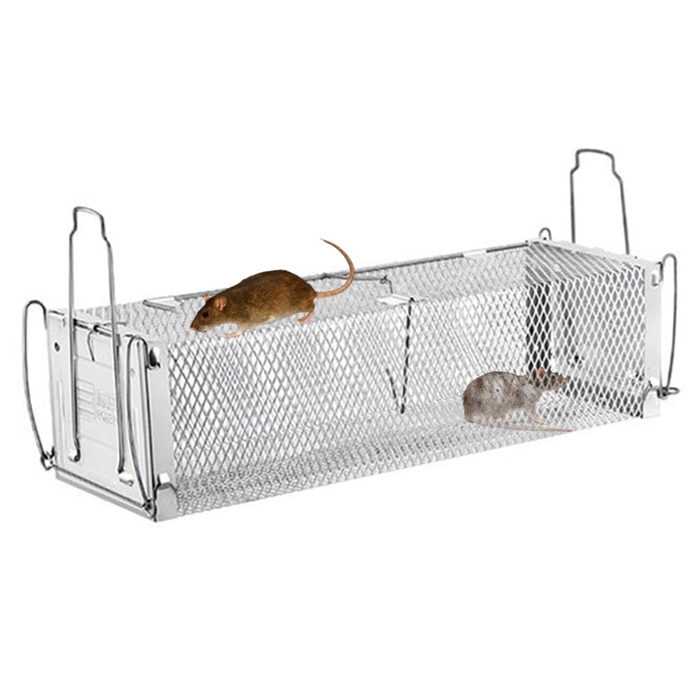 mice traps