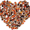 thumbnail image 2 of QualitChoice 50pack/lot Acorns And Mushrooms Set Matching Plants And Fruits For Autumn Decor Is Suitable, 2 of 6