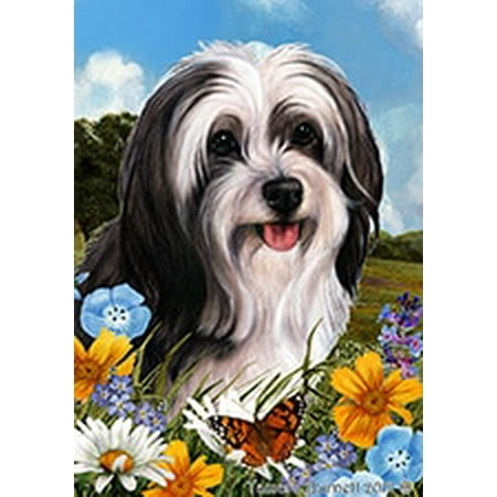 Tibetan Terrier Black and White - Best of Breed  Summer Flowers Garden