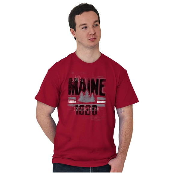 Maine Vintage Distressed Pine Trees Men's Graphic T Shirt Tees Brisco Brands S